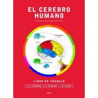 EL CEREBRO HUMANO