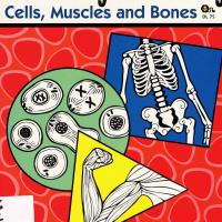 Anatomy Academy Cells Muscles BOnes.jpg