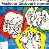 Anatomy Academy Respiration Circulation Digestion.jpg